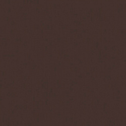 RAL 8017