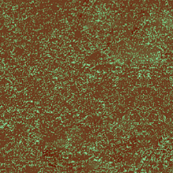 Patina Brown I 9204
