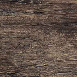 BG 06