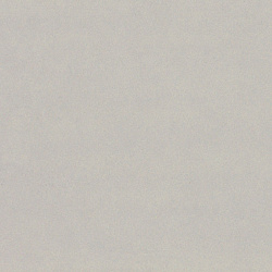 LF 01