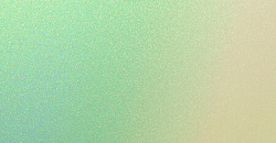 Chameleon
