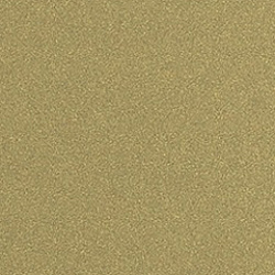 G 0812